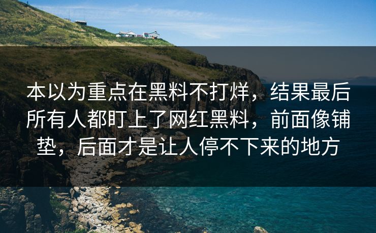 本以为重点在黑料不打烊，结果最后所有人都盯上了网红黑料，前面像铺垫，后面才是让人停不下来的地方