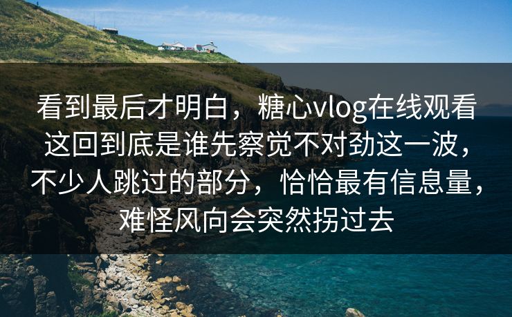 看到最后才明白，糖心vlog在线观看这回到底是谁先察觉不对劲这一波，不少人跳过的部分，恰恰最有信息量，难怪风向会突然拐过去