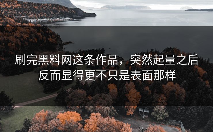 刷完黑料网这条作品，突然起量之后反而显得更不只是表面那样